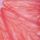 Illustration for article titled 20 Amazing Photos of Food As Art